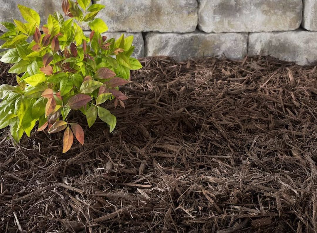 Brown Mulch