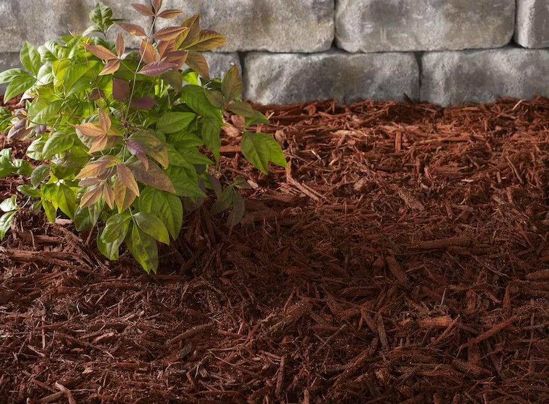 Red Mulch