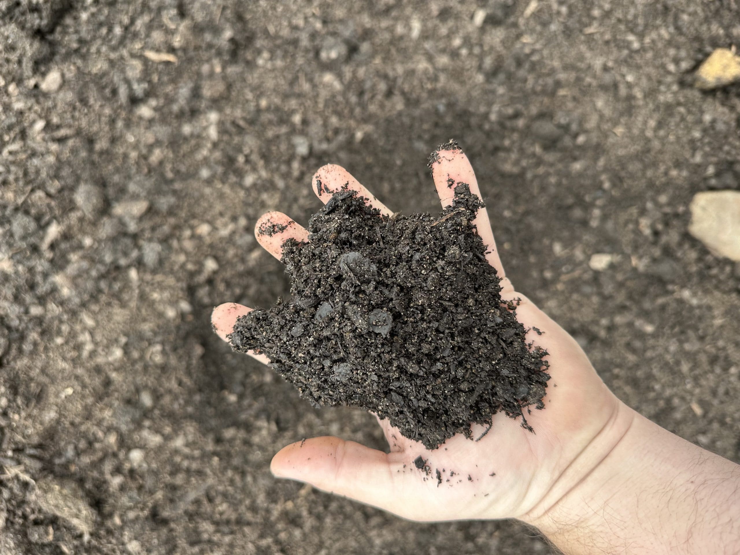 Holy Cow Garden Soil