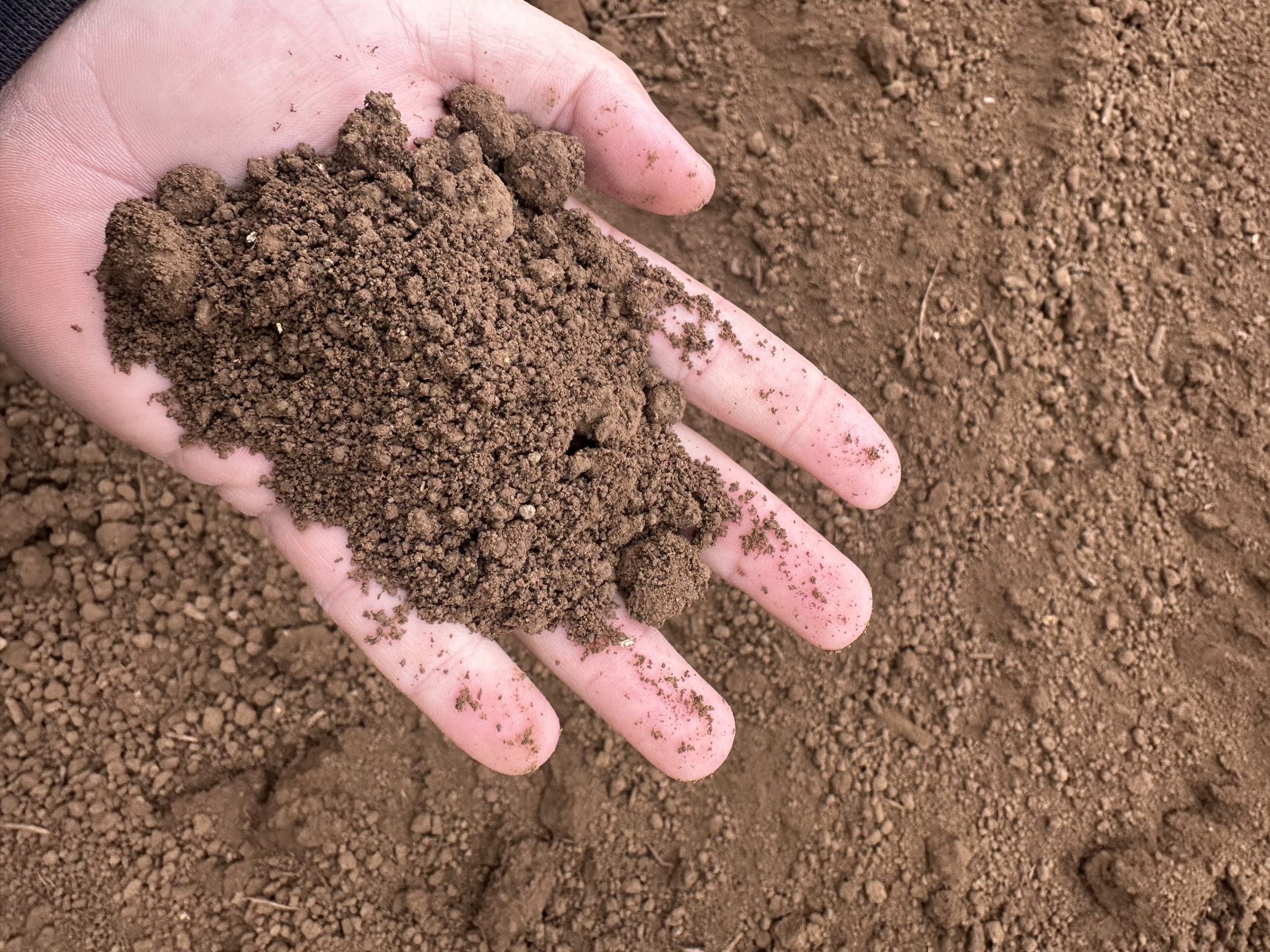 Screened Topsoil