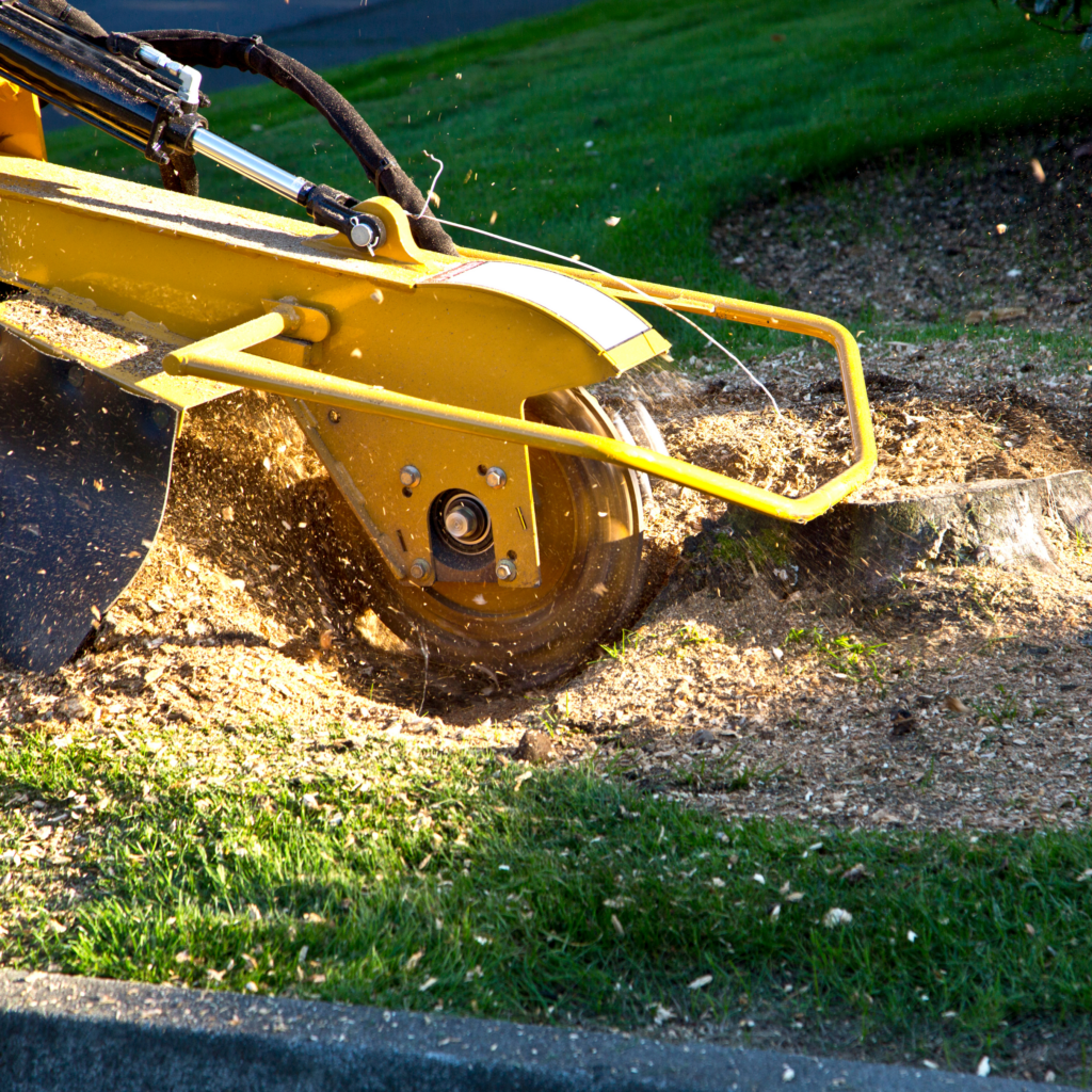 Stump Grinding Tennessee