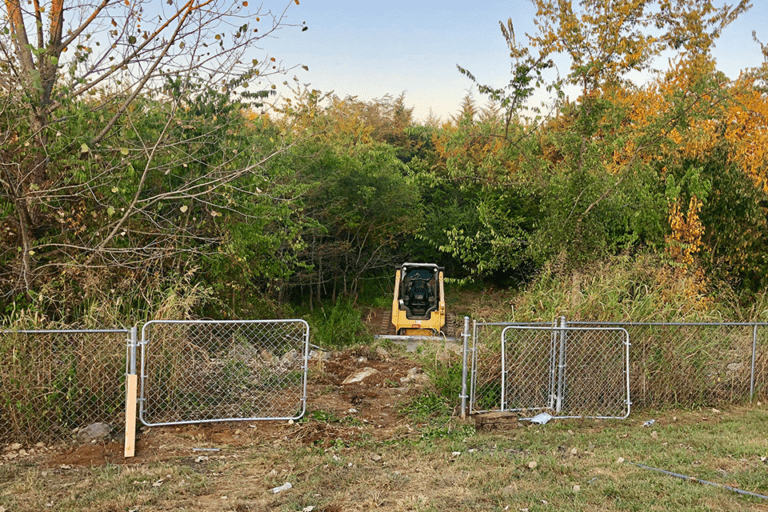 Land Clearing Before 2